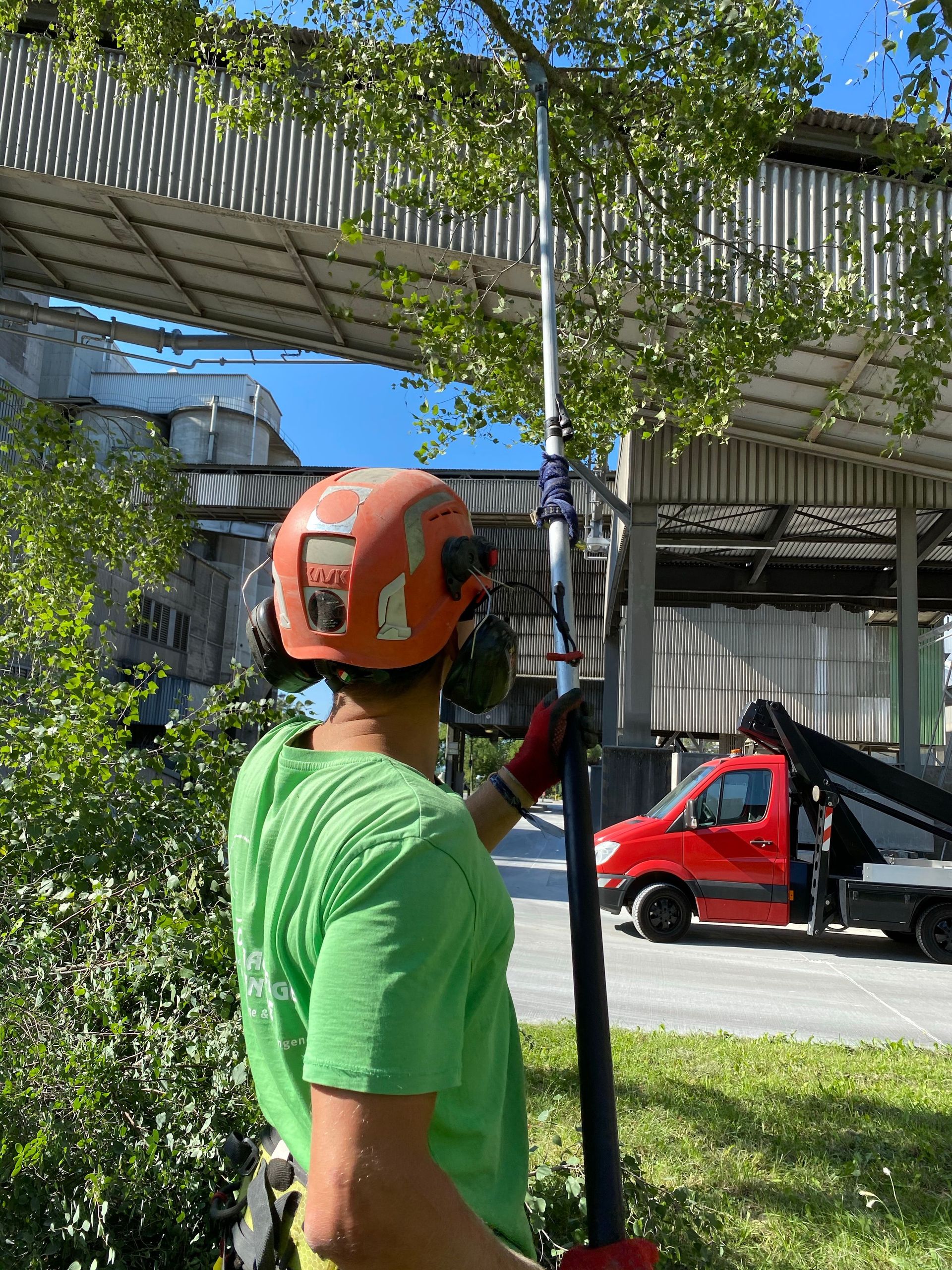 Worker using pole saw for tree trimming tasks outdoors under clear blue sky.